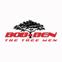 Bob and Ben the Tree Men
